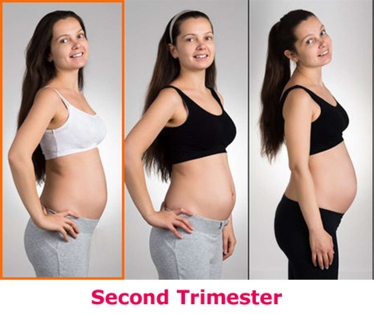 1 week pregnant belly size